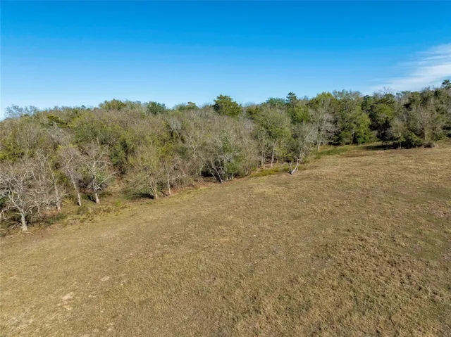 a view of a dry yard with trees in the background