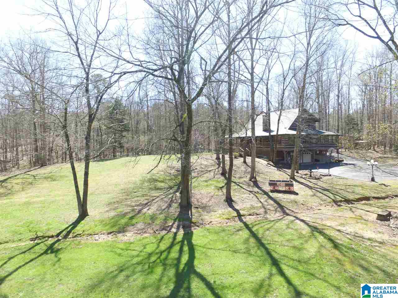 67 Hill Top Road Springville, AL 35146 - Photo 39 of 39