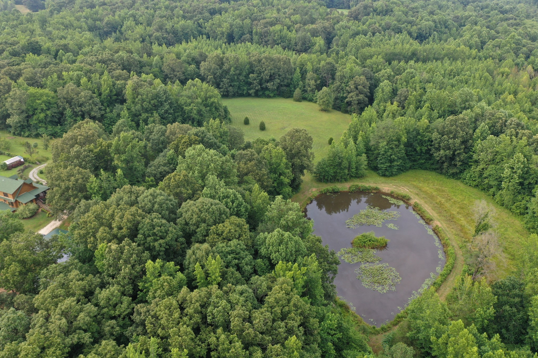 3108 Henry Mansfield Road Henry, TN 38231 - Photo 28 of 49 Gallery Image 28