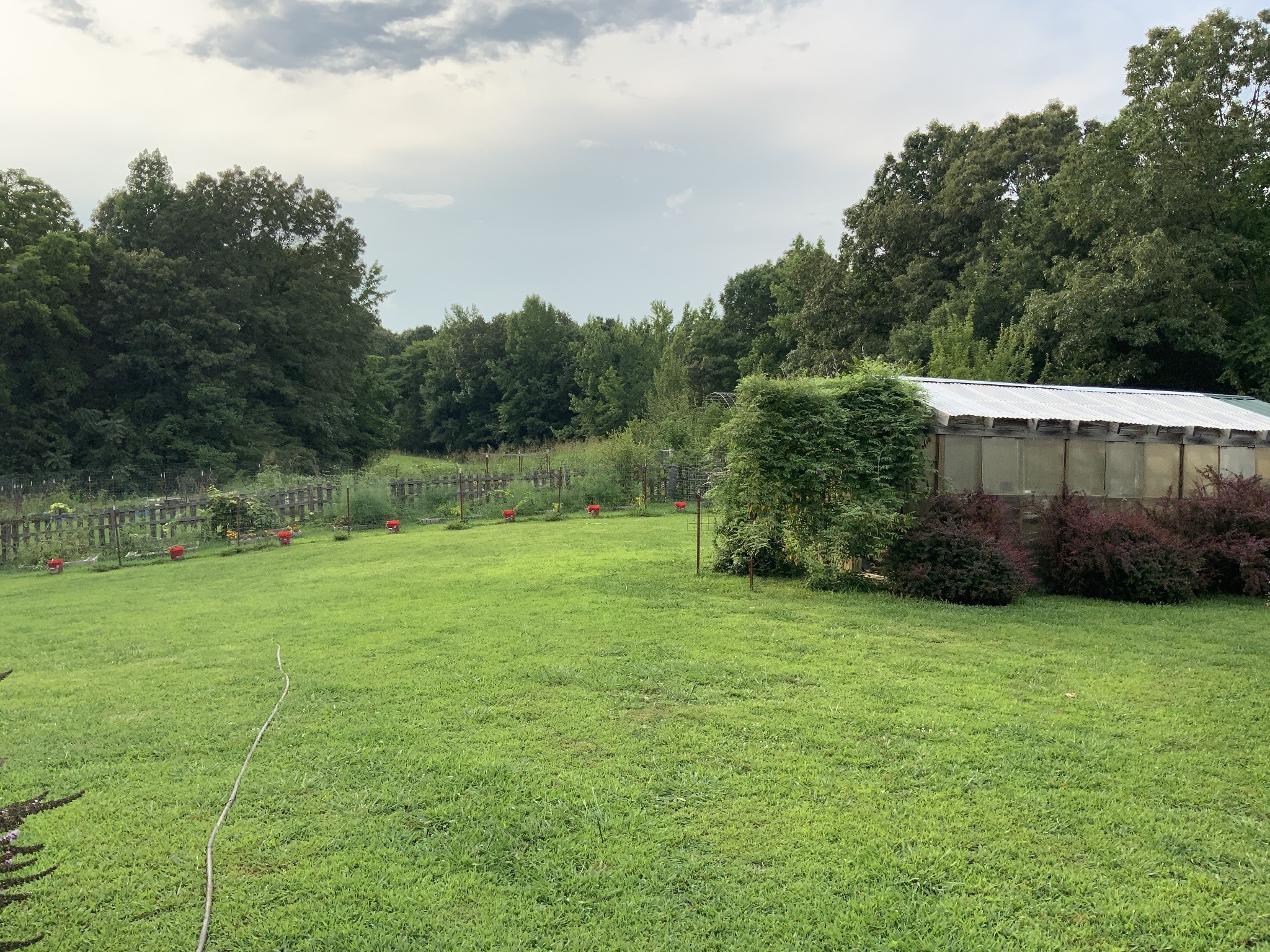 3108 Henry Mansfield Road Henry, TN 38231 - Photo 30 of 49 Gallery Image 30