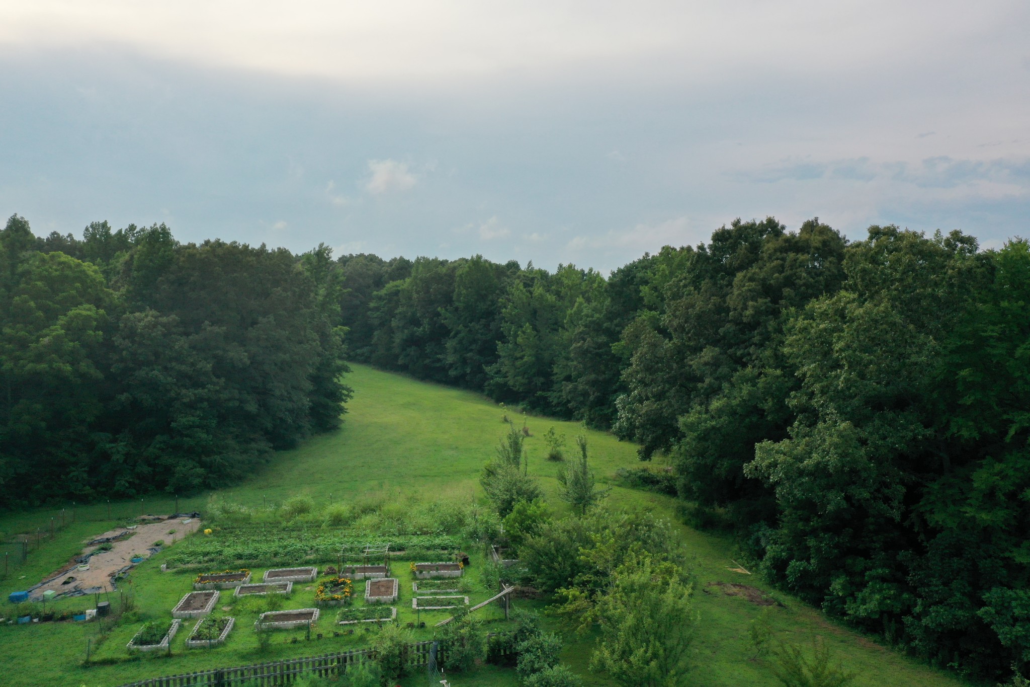 3108 Henry Mansfield Road Henry, TN 38231 - Photo 38 of 49 Gallery Image 38