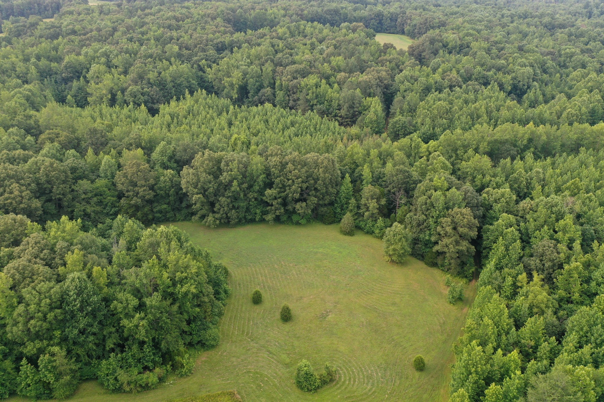 3108 Henry Mansfield Road Henry, TN 38231 - Photo 42 of 49 Gallery Image 42