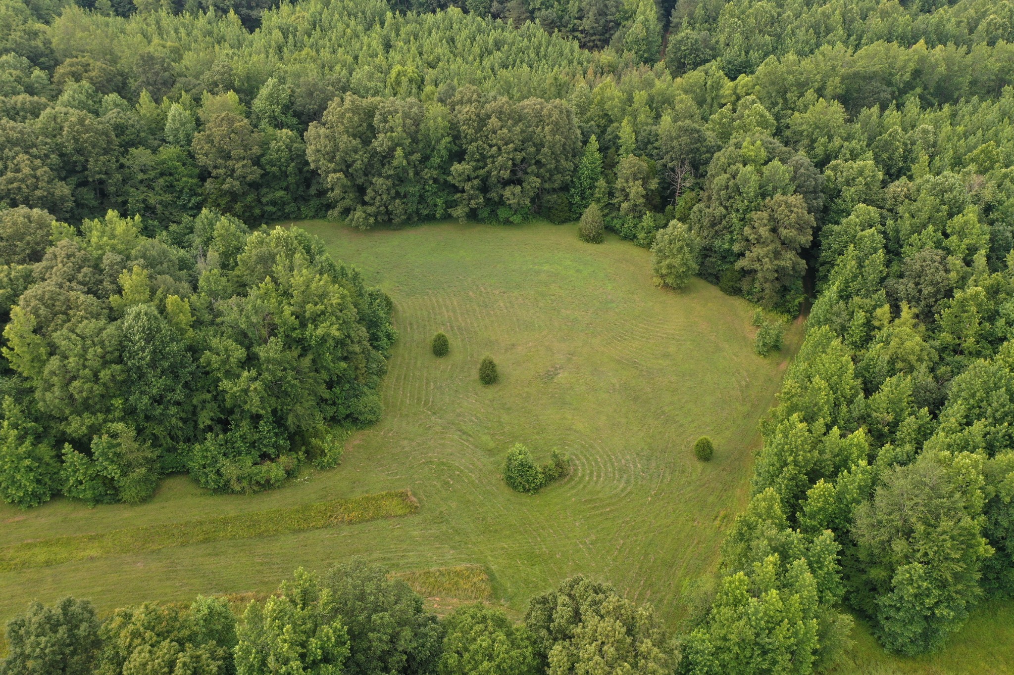 3108 Henry Mansfield Road Henry, TN 38231 - Photo 43 of 49 Gallery Image 43