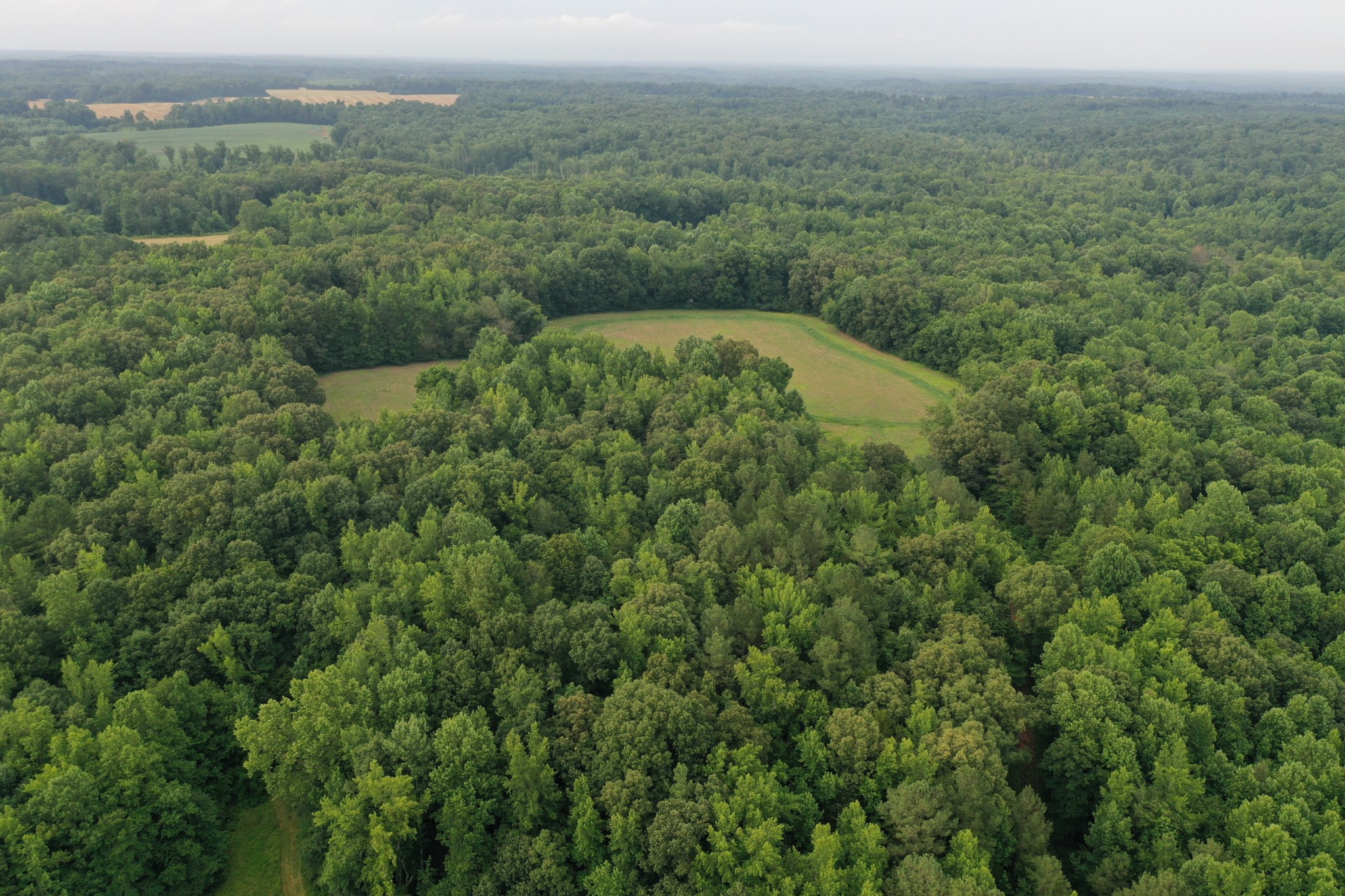 3108 Henry Mansfield Road Henry, TN 38231 - Photo 44 of 49 Gallery Image 44