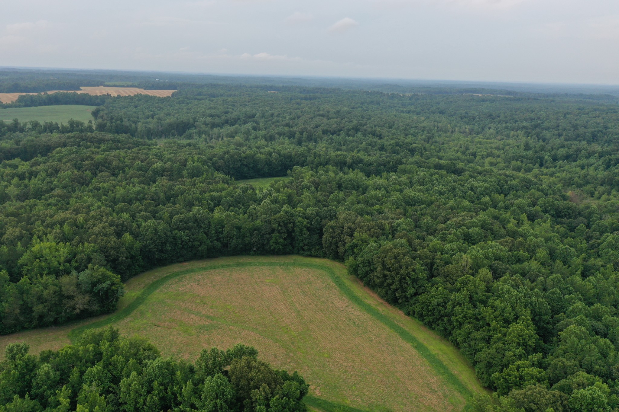 3108 Henry Mansfield Road Henry, TN 38231 - Photo 47 of 49 Gallery Image 47