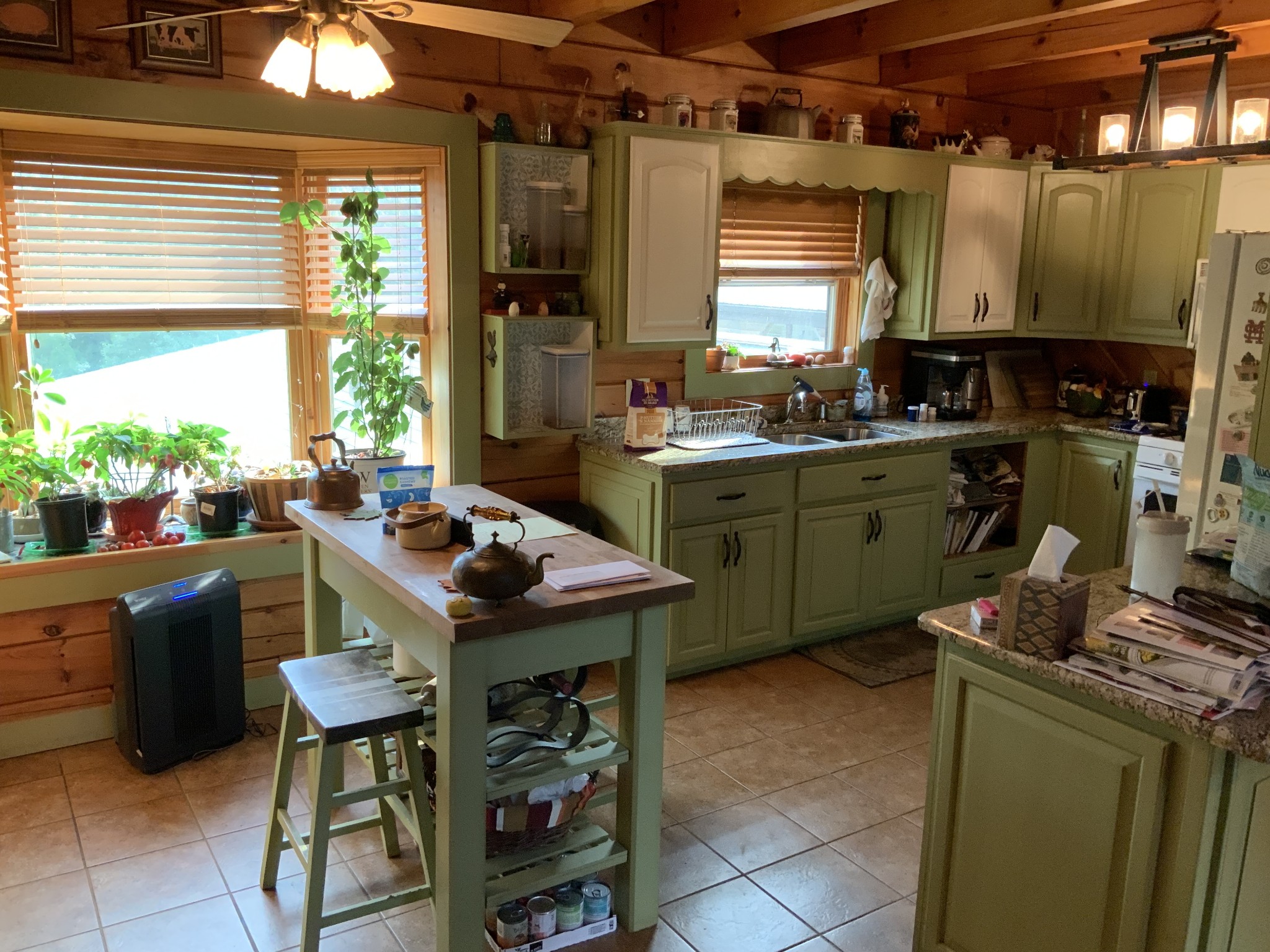 3108 Henry Mansfield Road Henry, TN 38231 - Photo 10 of 49 Gallery Image 10