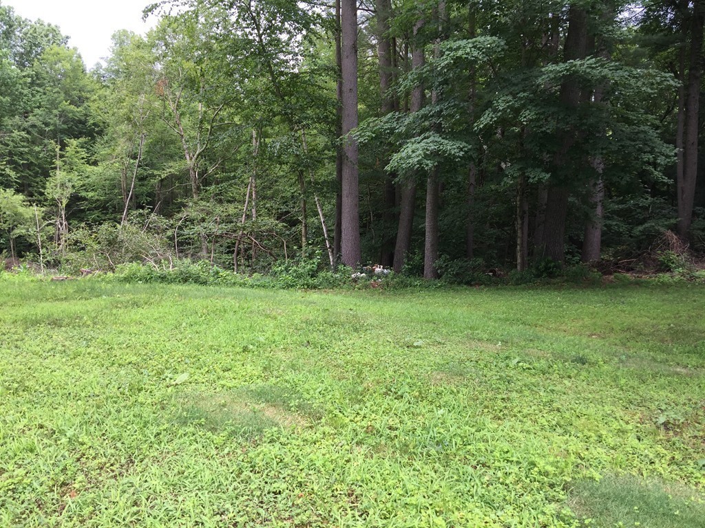 65 Butternut Road Westfield, MA 01085 - Photo 29 of 30 Gallery Image 29