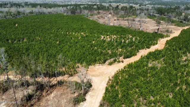 $395,000 | 1 Highway 478 New Hebron Ms 39140, Newhebron, MS 39140