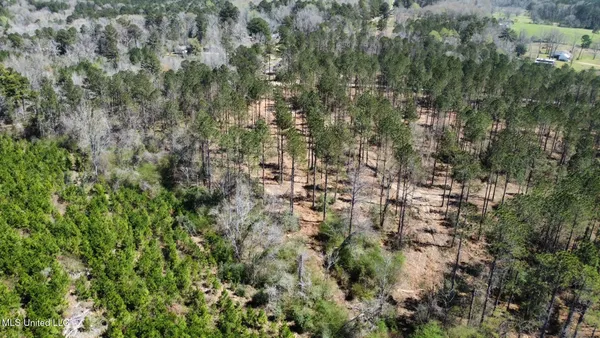 $299,000 | 1 Highway 478 New Hebron Ms 39140, Newhebron, MS 39140