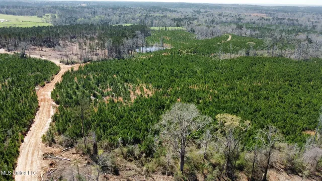 $395,000 | 1 Highway 478 New Hebron Ms 39140, Newhebron, MS 39140