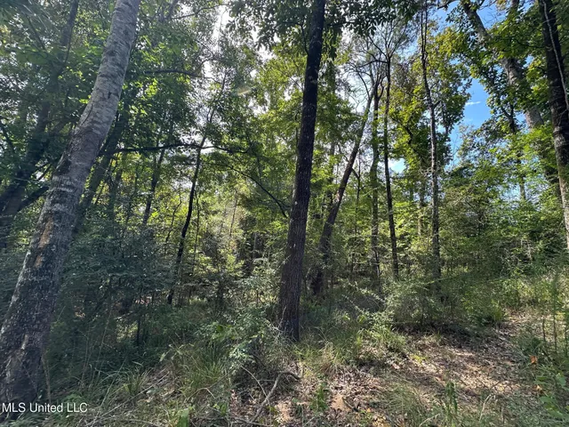 $395,000 | 1 Highway 478 New Hebron Ms 39140, Newhebron, MS 39140