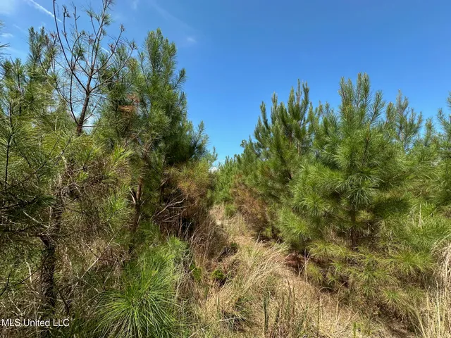 $395,000 | 1 Highway 478 New Hebron Ms 39140, Newhebron, MS 39140