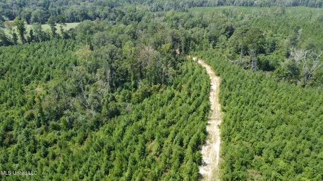 $395,000 | 1 Highway 478 New Hebron Ms 39140, Newhebron, MS 39140