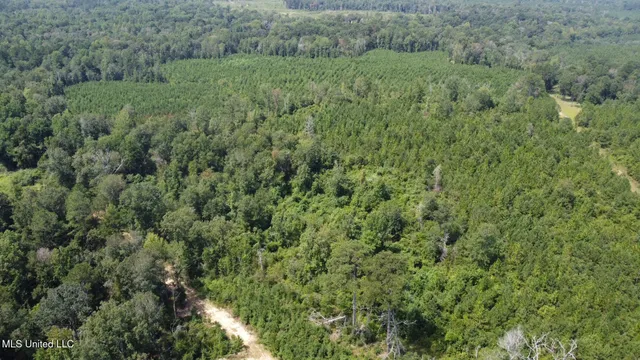 $395,000 | 1 Highway 478 New Hebron Ms 39140, Newhebron, MS 39140