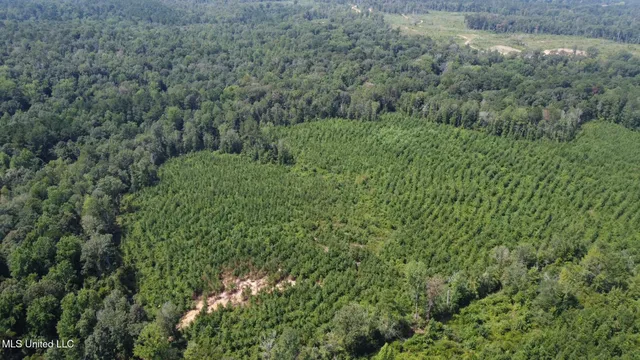 $395,000 | 1 Highway 478 New Hebron Ms 39140, Newhebron, MS 39140