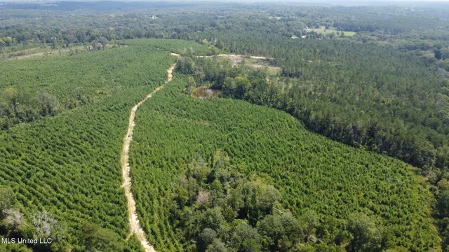 $395,000 | 1 Highway 478 New Hebron Ms 39140, Newhebron, MS 39140