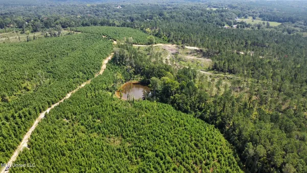 $299,000 | 1 Highway 478 New Hebron Ms 39140, Newhebron, MS 39140