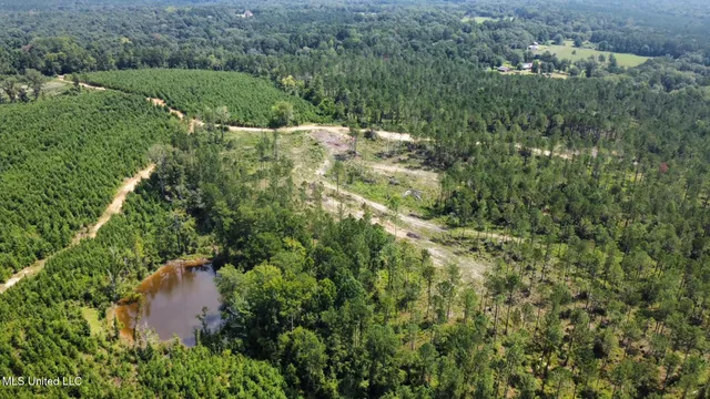 $395,000 | 1 Highway 478 New Hebron Ms 39140, Newhebron, MS 39140