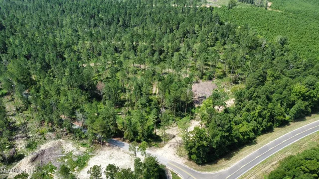 $395,000 | 1 Highway 478 New Hebron Ms 39140, Newhebron, MS 39140