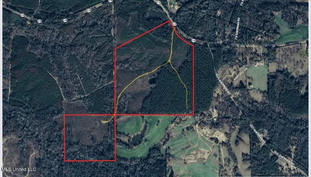 $395,000 | 1 Highway 478 New Hebron Ms 39140, Newhebron, MS 39140