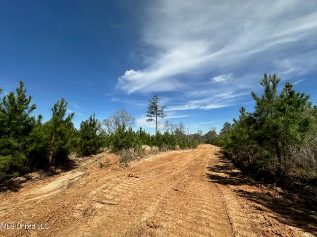 $395,000 | 1 Highway 478 New Hebron Ms 39140, Newhebron, MS 39140