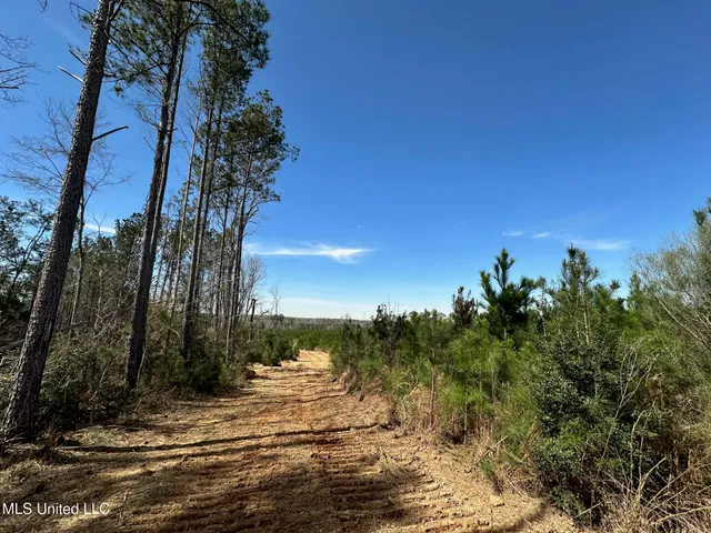 $395,000 | 1 Highway 478 New Hebron Ms 39140, Newhebron, MS 39140