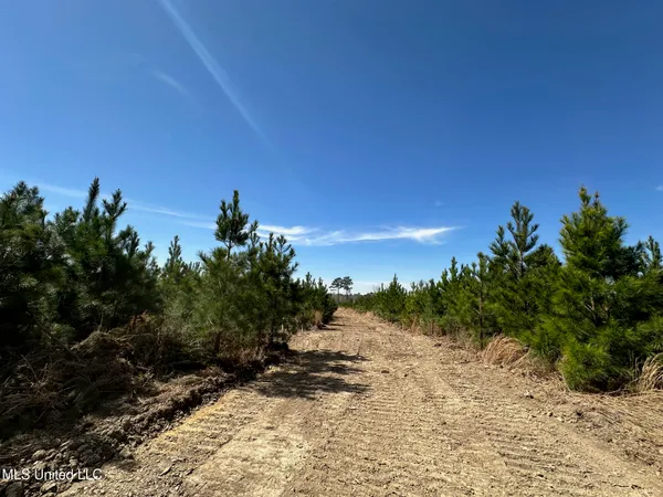 $299,000 | 1 Highway 478 New Hebron Ms 39140, Newhebron, MS 39140