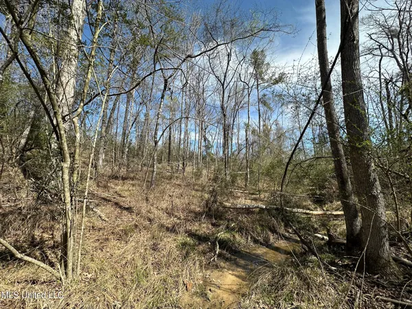 $299,000 | 1 Highway 478 New Hebron Ms 39140, Newhebron, MS 39140