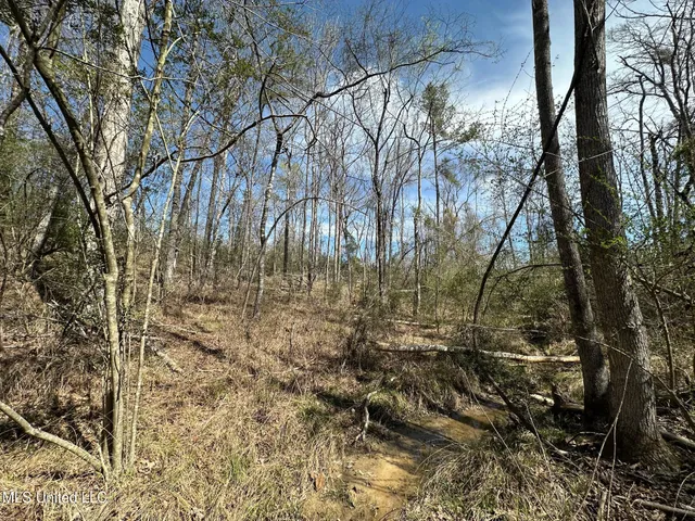 $395,000 | 1 Highway 478 New Hebron Ms 39140, Newhebron, MS 39140