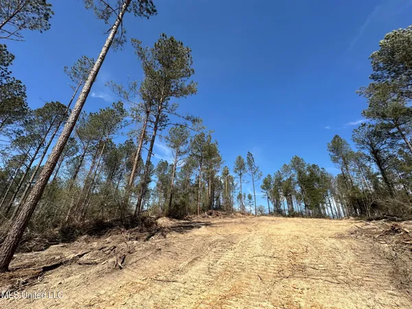 $299,000 | 1 Highway 478 New Hebron Ms 39140, Newhebron, MS 39140