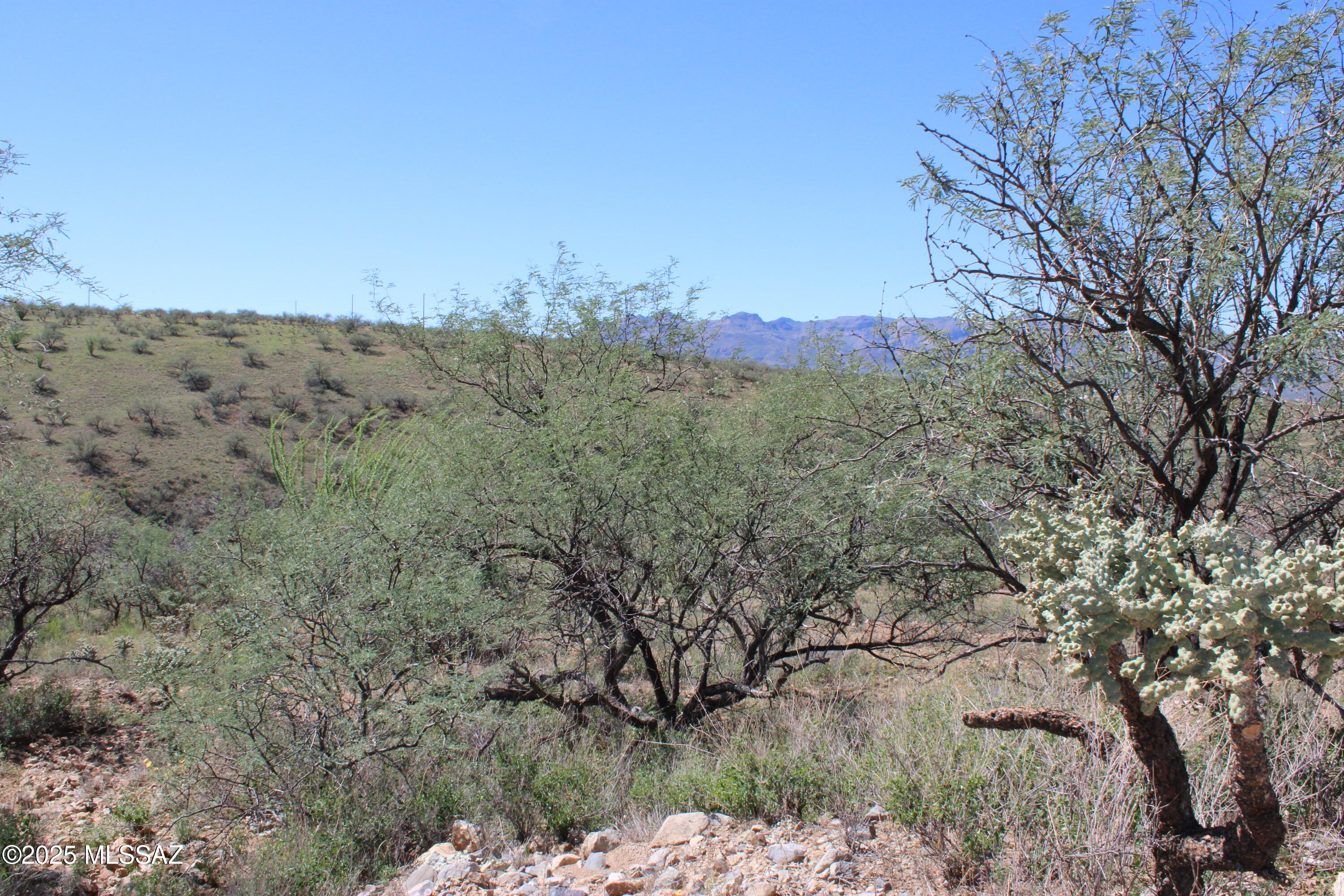 346 Anfibio Court, Unit 83 Rio Rico, AZ 85648 - Photo 4 of 14