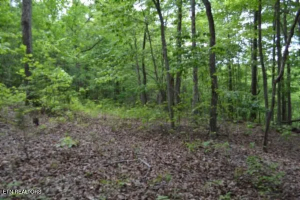 $39,900 | Lot 6 Forest Trails Lane, Celina, TN 38551