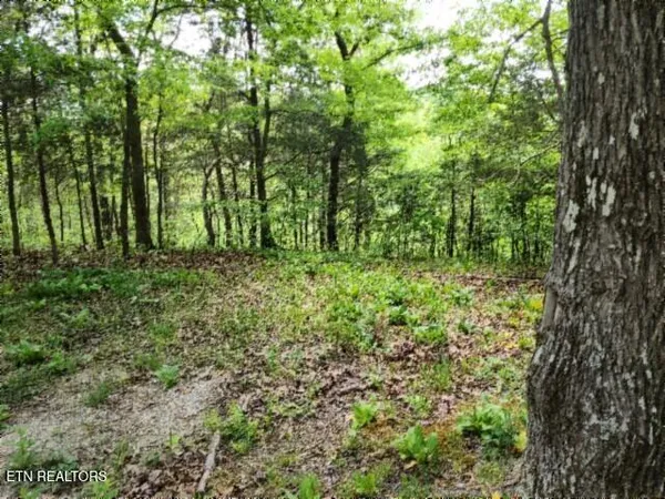 $39,900 | Lot 6 Forest Trails Lane, Celina, TN 38551