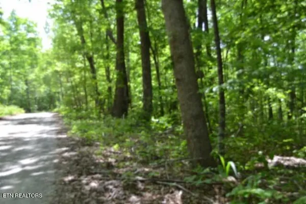 $39,900 | Lot 6 Forest Trails Lane, Celina, TN 38551