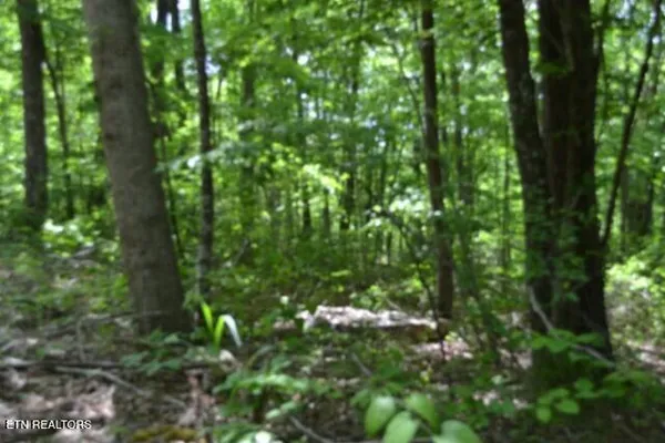 $39,900 | Lot 6 Forest Trails Lane, Celina, TN 38551