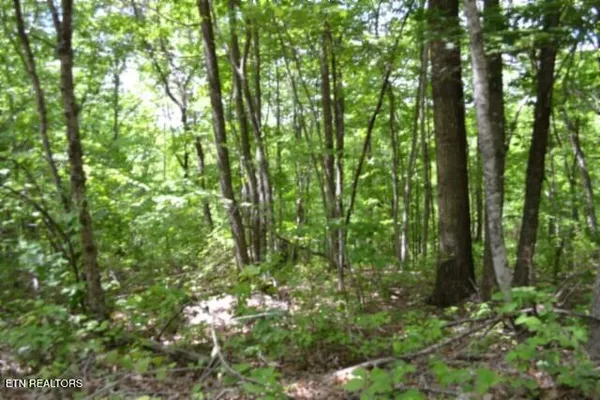 $39,900 | Lot 6 Forest Trails Lane, Celina, TN 38551