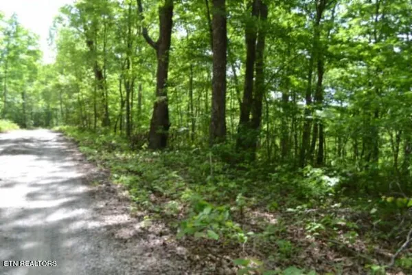 $39,900 | Lot 6 Forest Trails Lane, Celina, TN 38551