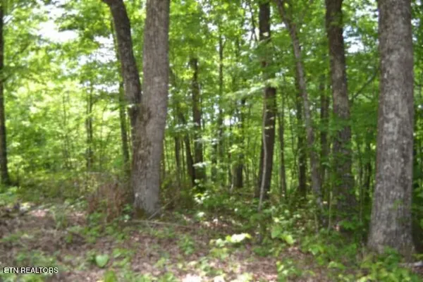 $39,900 | Lot 6 Forest Trails Lane, Celina, TN 38551
