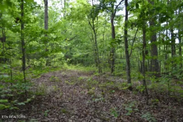 $39,900 | Lot 6 Forest Trails Lane, Celina, TN 38551
