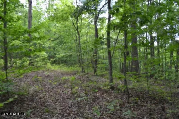 $39,900 | Lot 6 Forest Trails Lane, Celina, TN 38551