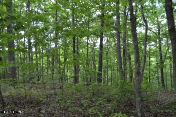 $39,900 | Lot 6 Forest Trails Lane, Celina, TN 38551