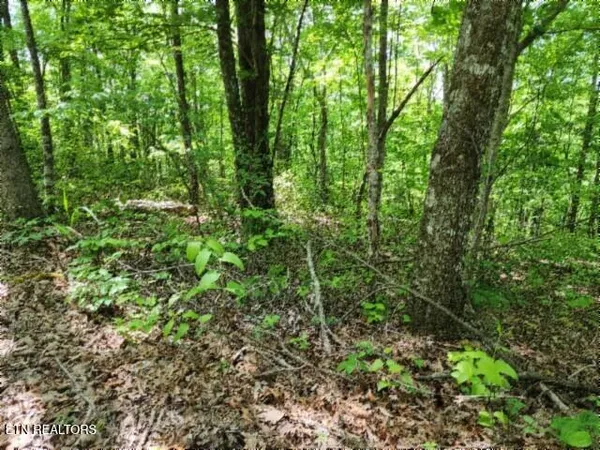 $39,900 | Lot 6 Forest Trails Lane, Celina, TN 38551