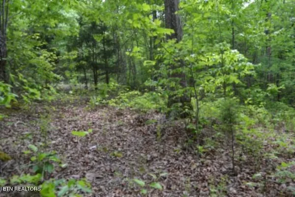 $39,900 | Lot 6 Forest Trails Lane, Celina, TN 38551
