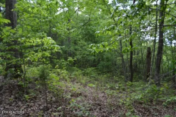 $39,900 | Lot 6 Forest Trails Lane, Celina, TN 38551