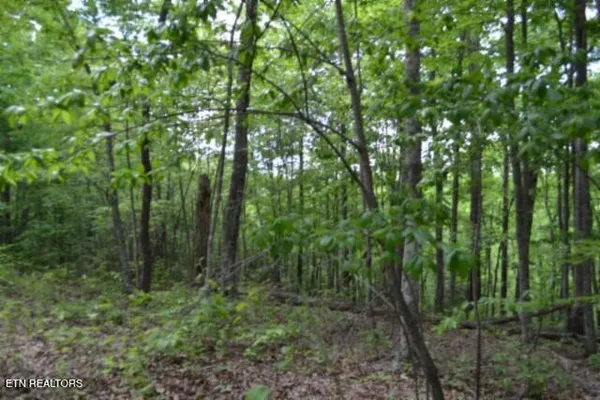 $39,900 | Lot 6 Forest Trails Lane, Celina, TN 38551