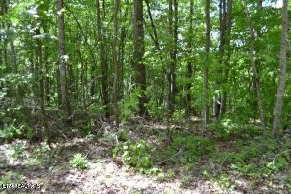 $39,900 | Lot 6 Forest Trails Lane, Celina, TN 38551