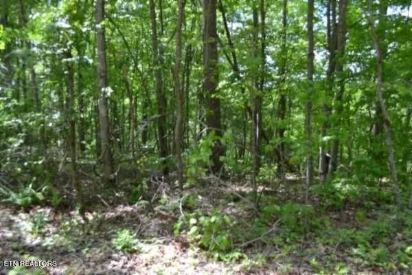 $39,900 | Lot 6 Forest Trails Lane, Celina, TN 38551