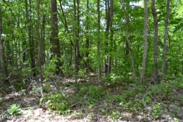$39,900 | Lot 6 Forest Trails Lane, Celina, TN 38551