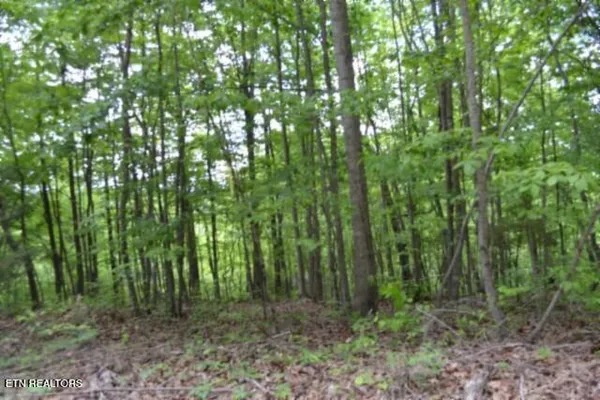 $39,900 | Lot 6 Forest Trails Lane, Celina, TN 38551