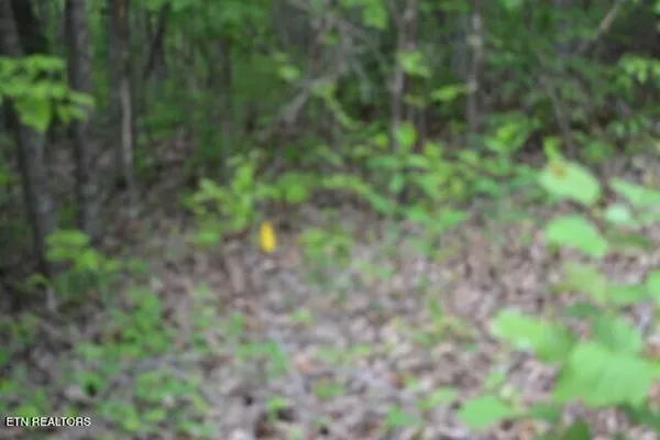 $39,900 | Lot 6 Forest Trails Lane, Celina, TN 38551